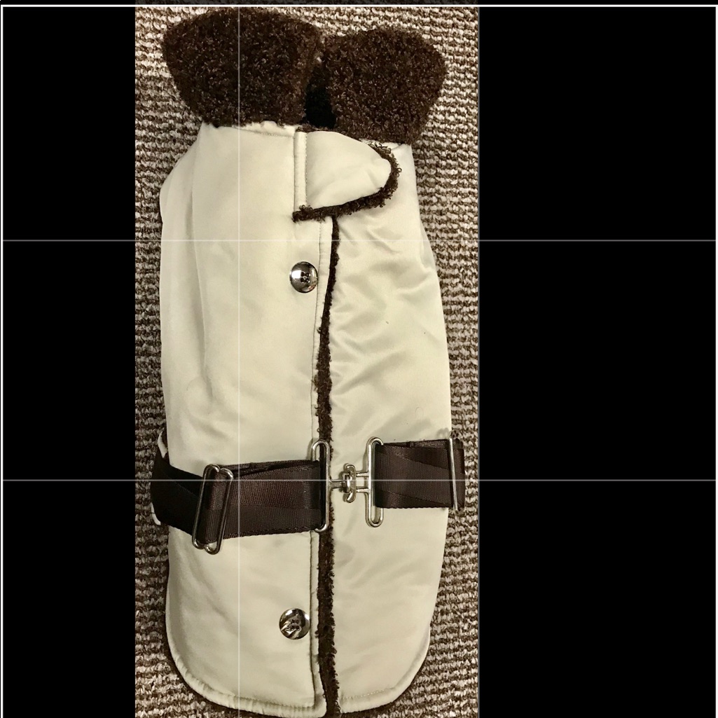 Brand New Puffer Dog Coat